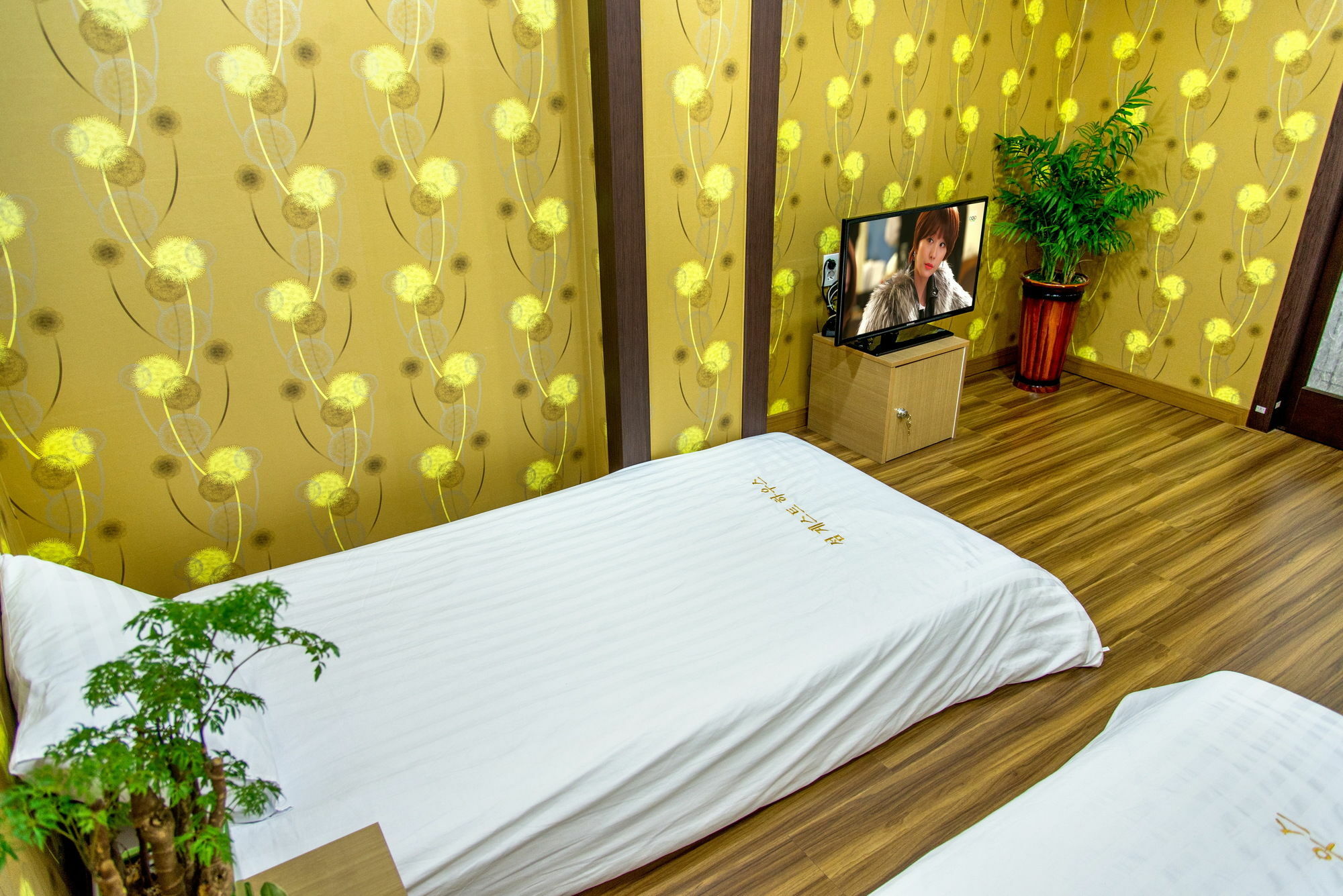 Seom Guesthouse ソギポ エクステリア 写真