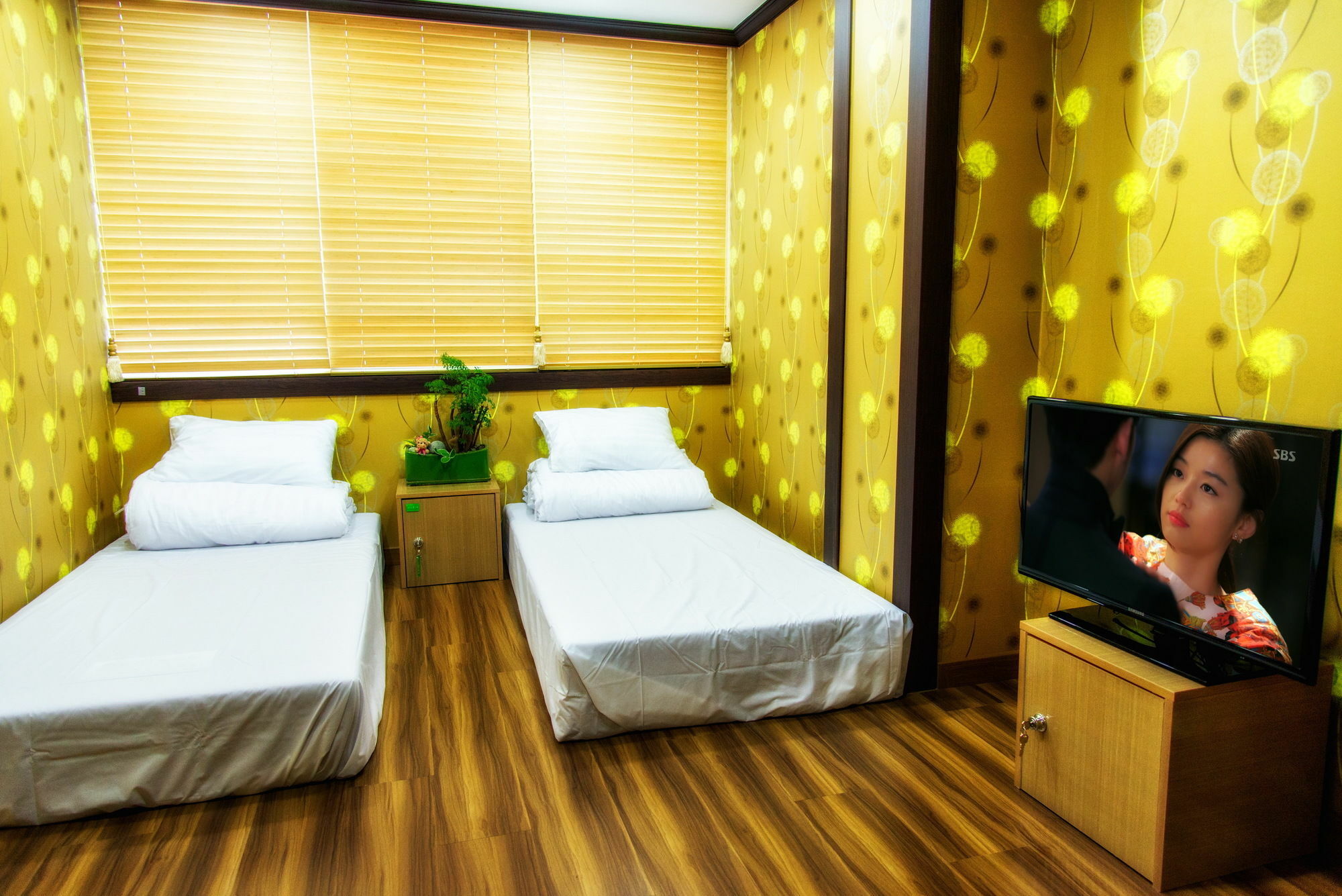 Seom Guesthouse ソギポ エクステリア 写真